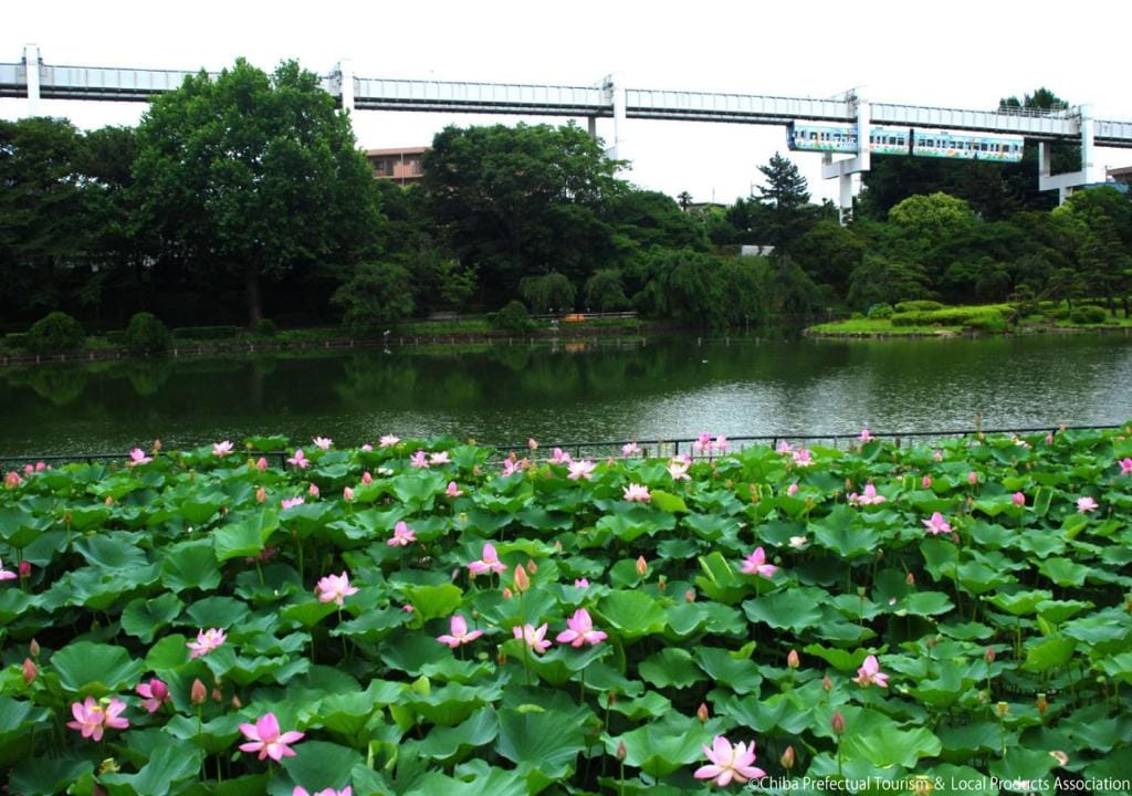 APA Hotel Chiba Ekimae — 3