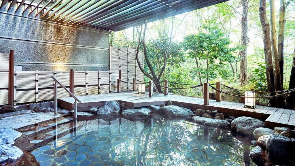 Tokyu Vacations Hakone Gora — 1