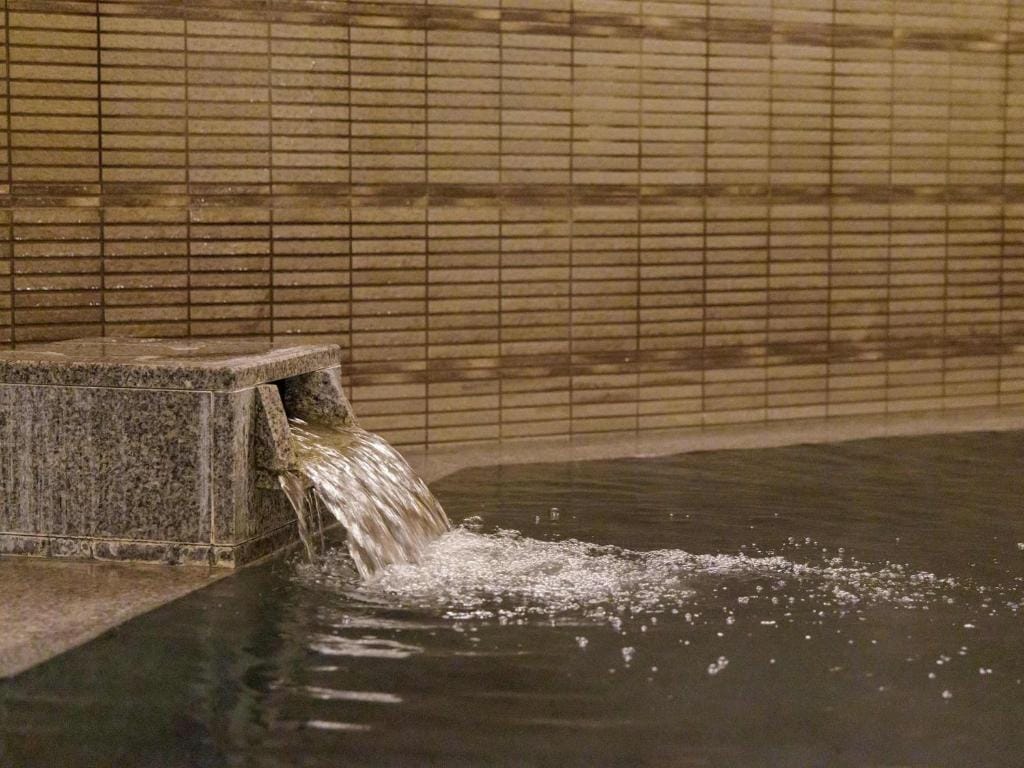 Nishitetsu Inn Kokura — 3