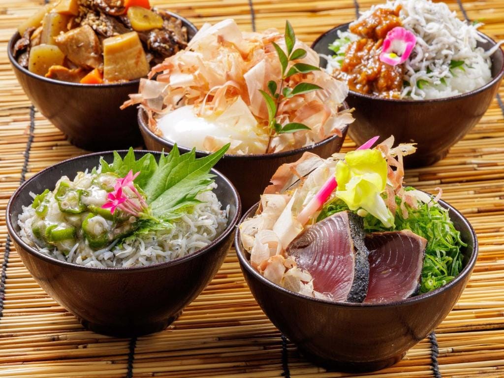 Nishitetsu Inn Kochi Harimayabashi — 3