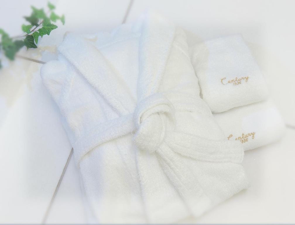 Odakyu Hotel Century Sagami Ono — 3