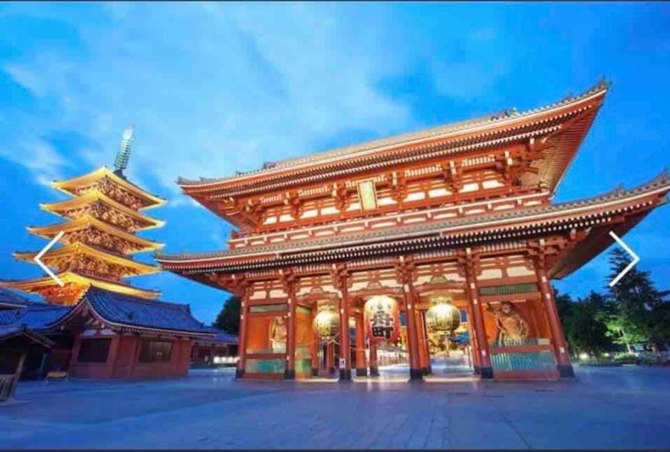 Momo palace — 5