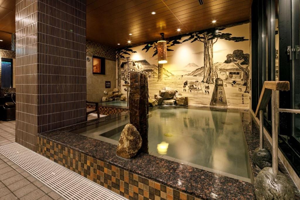 Dormy Inn Express Toyohashi — 4