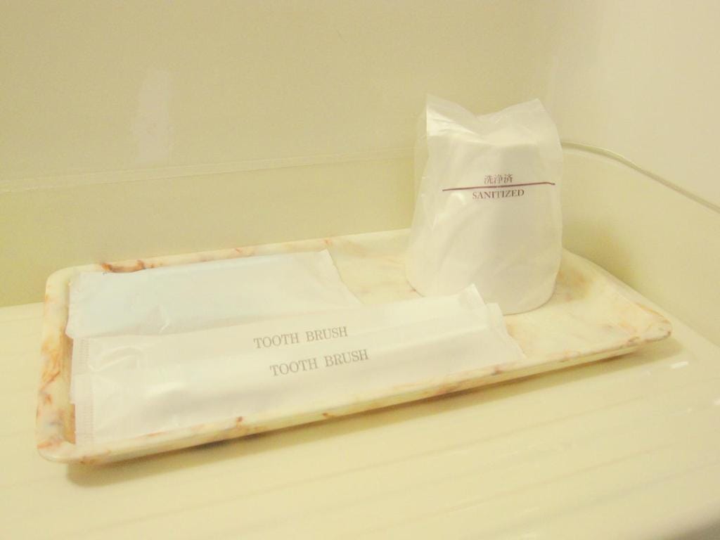 Toyohashi Station Hotel — 2